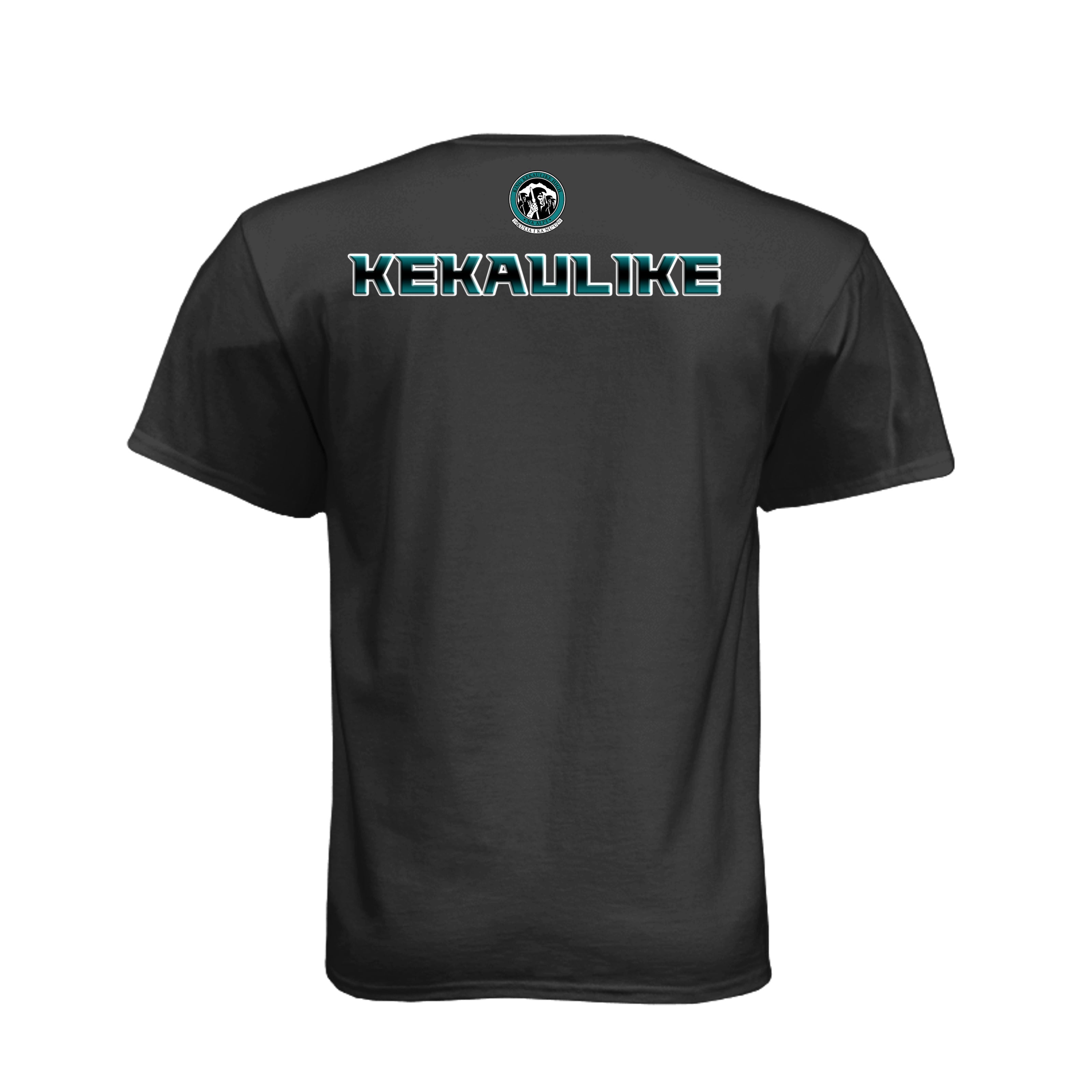 ndm:1608523
